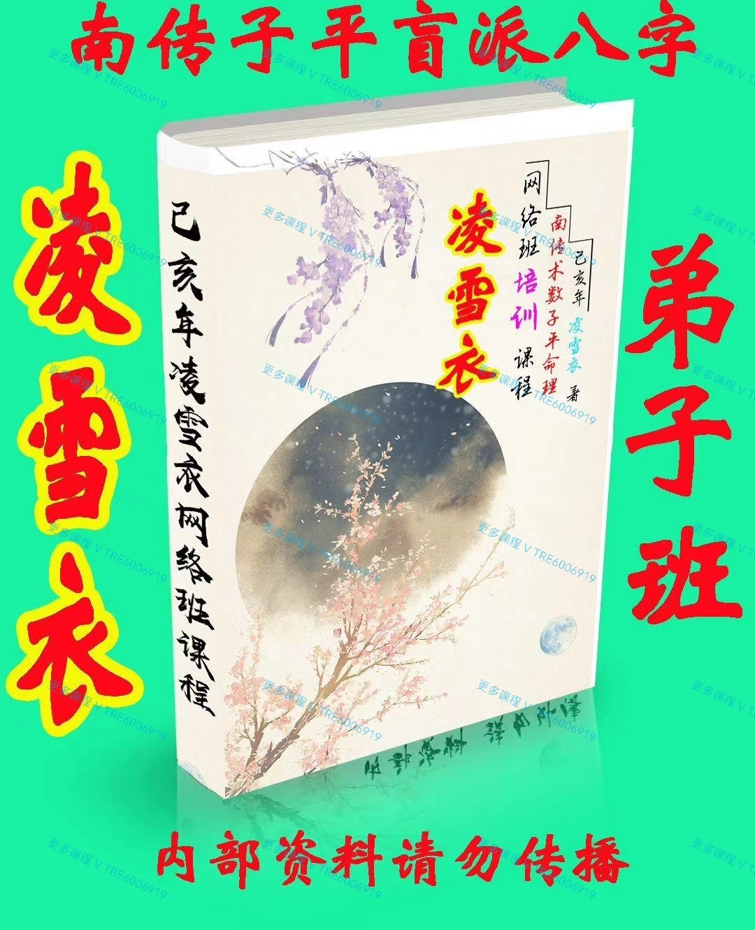 (子平八字)凌雪衣 南传子平盲派八字2020年凌雪衣网络班课程