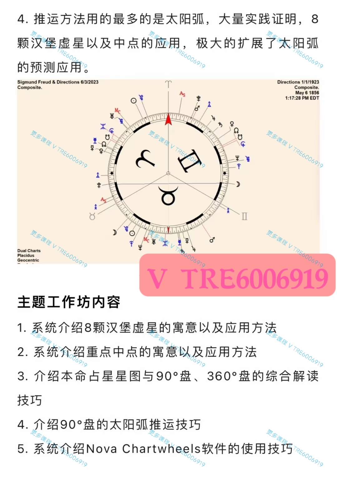 (汉堡占星 热销🔥)张存杰老师 自在占星 汉堡学派占星主题工作坊 视频课程