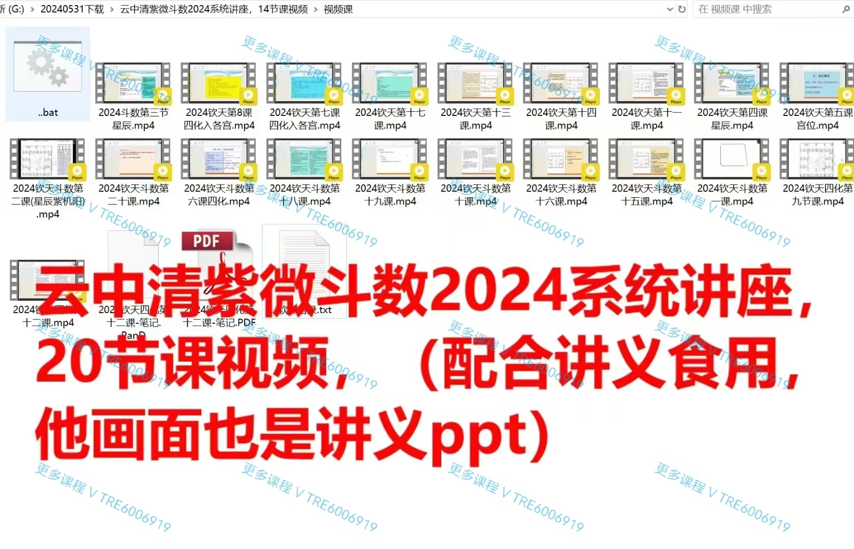 (紫微斗数 价格小贵)云中清紫微斗数2024系统讲座 20节课 视频课程+课件