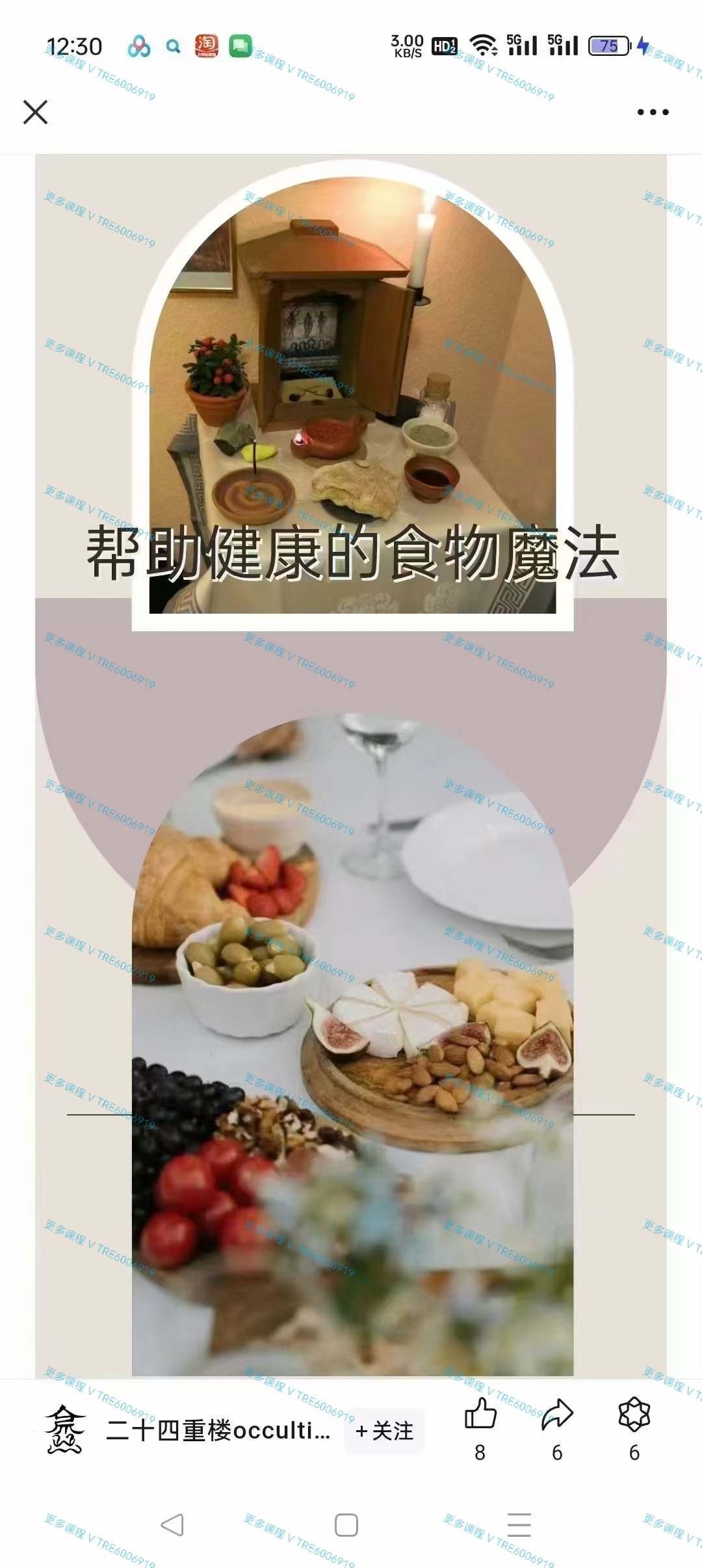 (稀有厨房魔法)饮食信仰|帮助健康与视力的食物魔法 音频课程+PDF