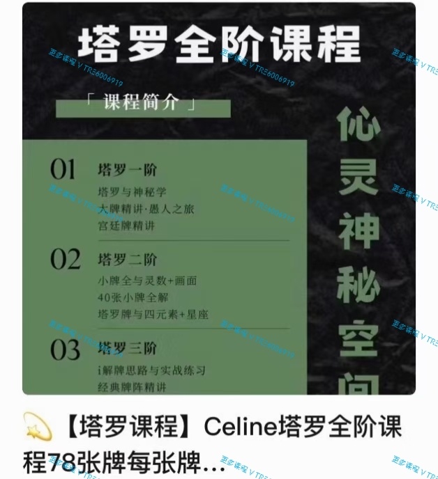 (塔罗课程)Celine塔罗全阶课程 视频课程