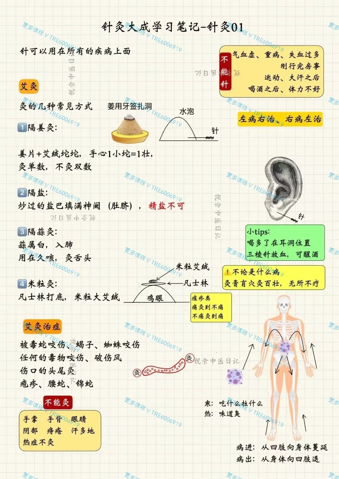 (中医课程)祝余《针灸大成图文笔记》PDF68页 彩色版 根据倪海厦老师视频整理