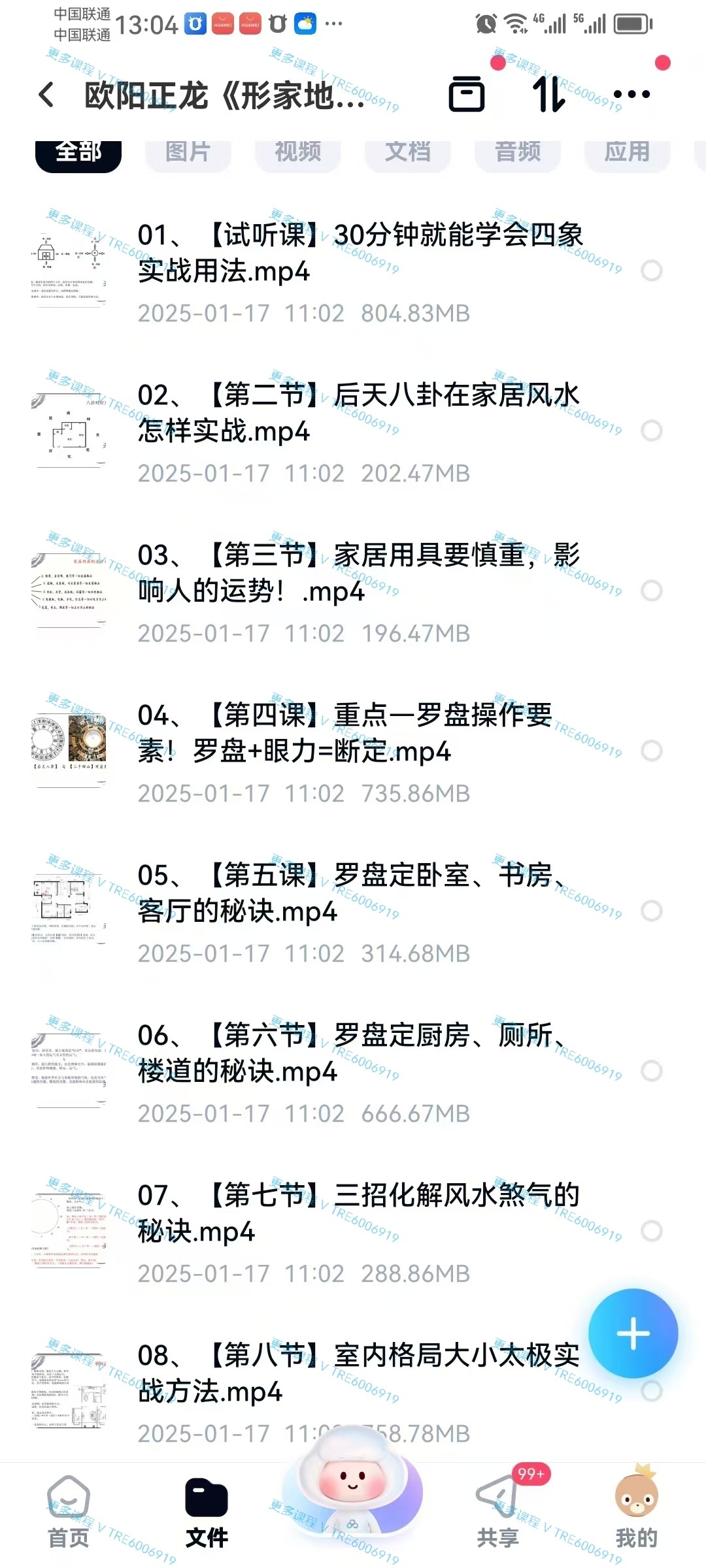 (形家风水)欧阳正龙《形家地理术》11集 视频课程